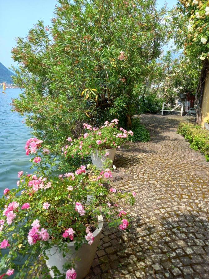 L'Oleandro Sul Lago D'Iseo B&B Sulzano Exterior foto