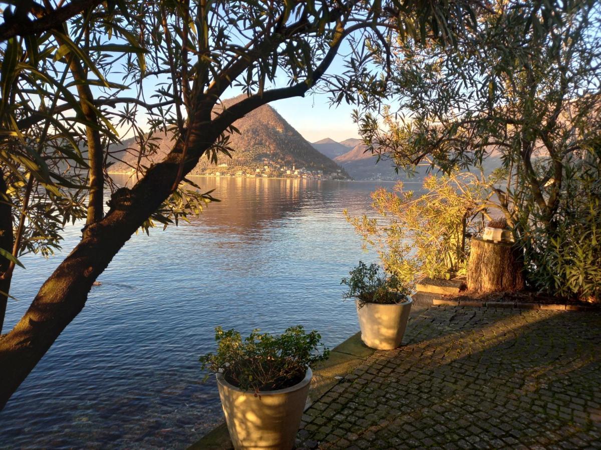 L'Oleandro Sul Lago D'Iseo B&B Sulzano Exterior foto
